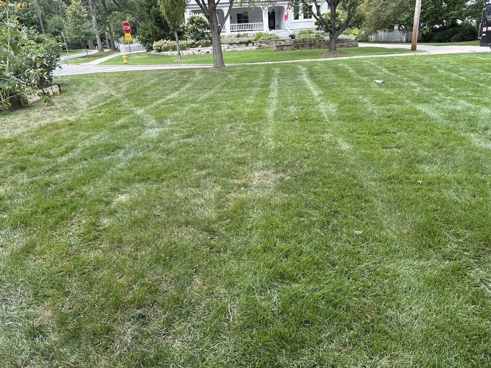 Professional residential landscaping in Carol Stream, IL - Weiss Lawn Care