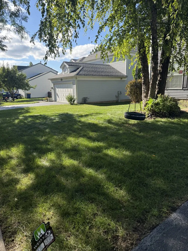 Professional lawn care service experts serving Carol Stream, IL - Weiss Lawn Care
