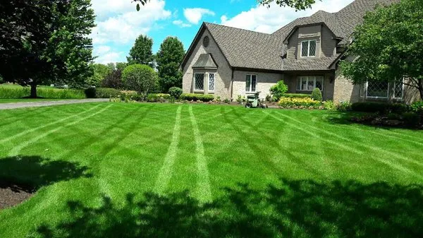 Weiss Lawn Care Logo