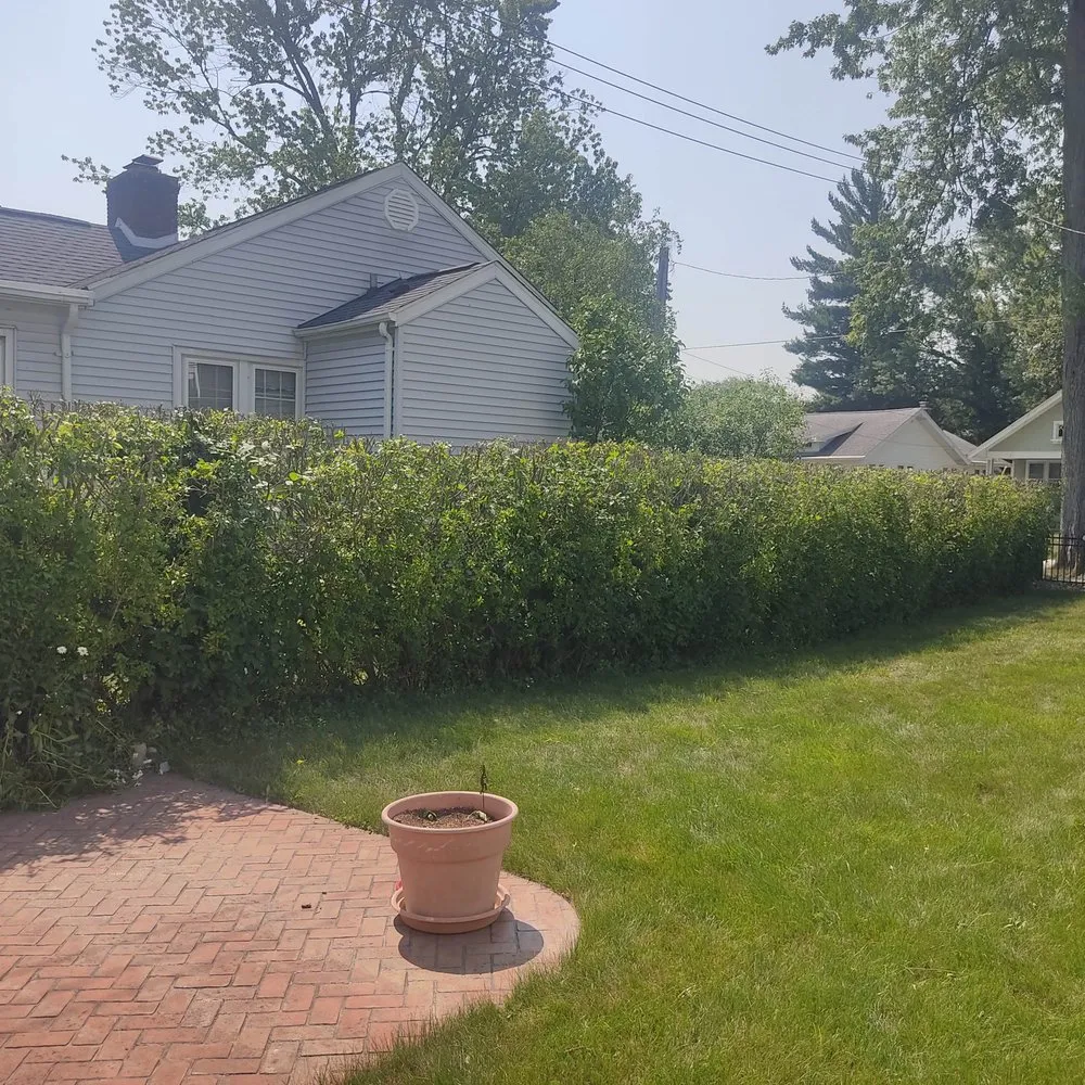 Custom yard cleanup service experts serving Bay City, MI - Weiss Property Management