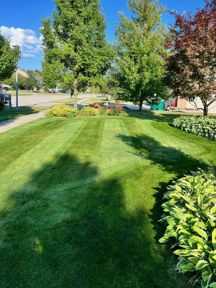 Expert yard maintenance in Bay City, MI by Weiss Property Management