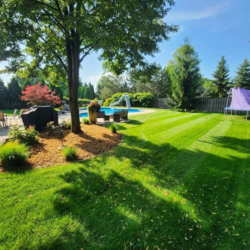 Local lawn care service in Bay City, MI by Weiss Property Management
