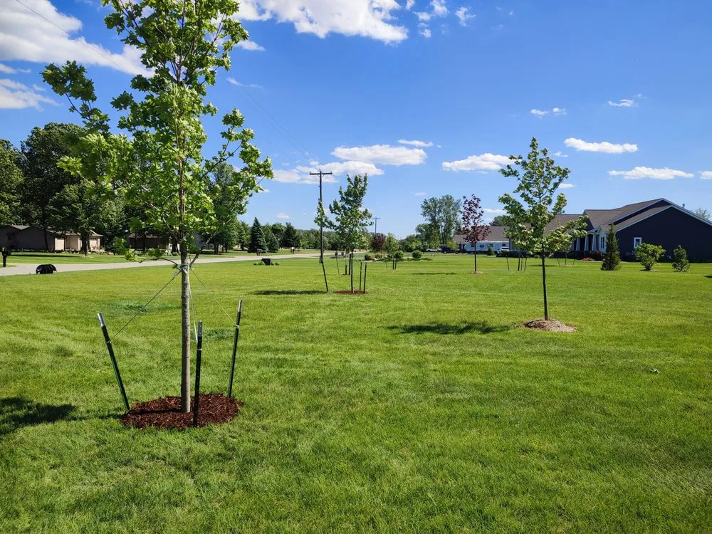 Reliable landscape installation for outdoor upgrades across Bay City, MI - Weiss Property Management