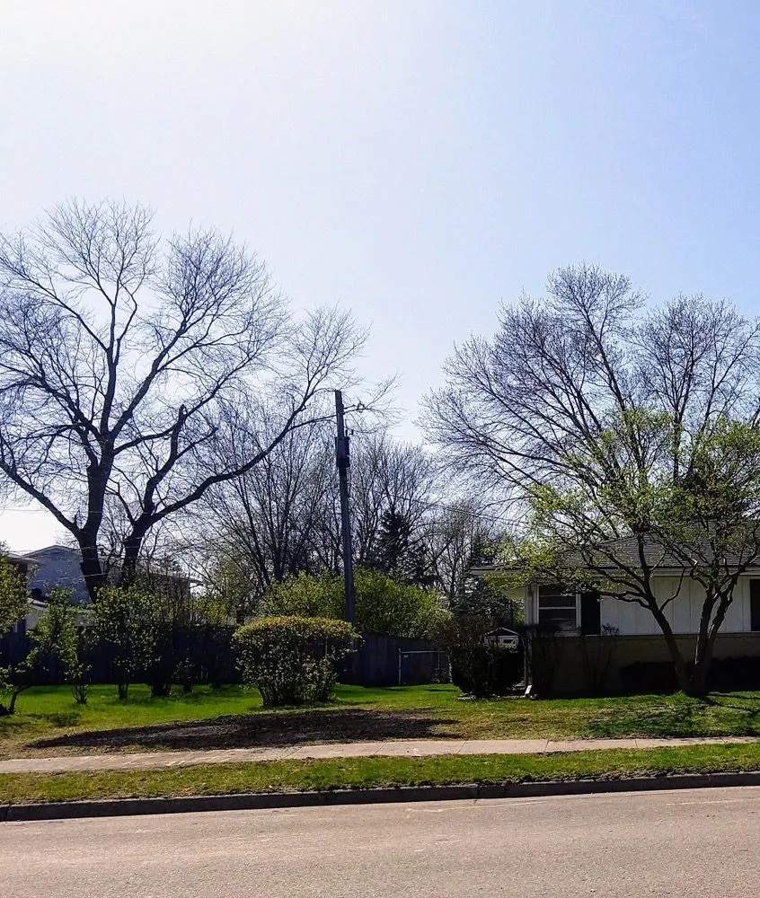 Local lawn mowing service in Ames, IA by Weiss Tree Service