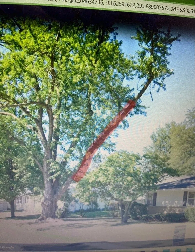 Affordable garden landscaping in Ames, IA - Weiss Tree Service