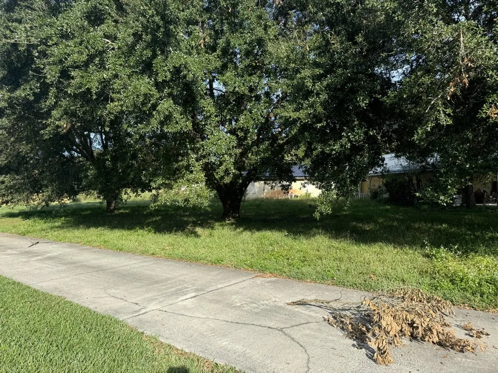 Expert landscape installation in Titusville, FL by Weitzel Lawn Care & More