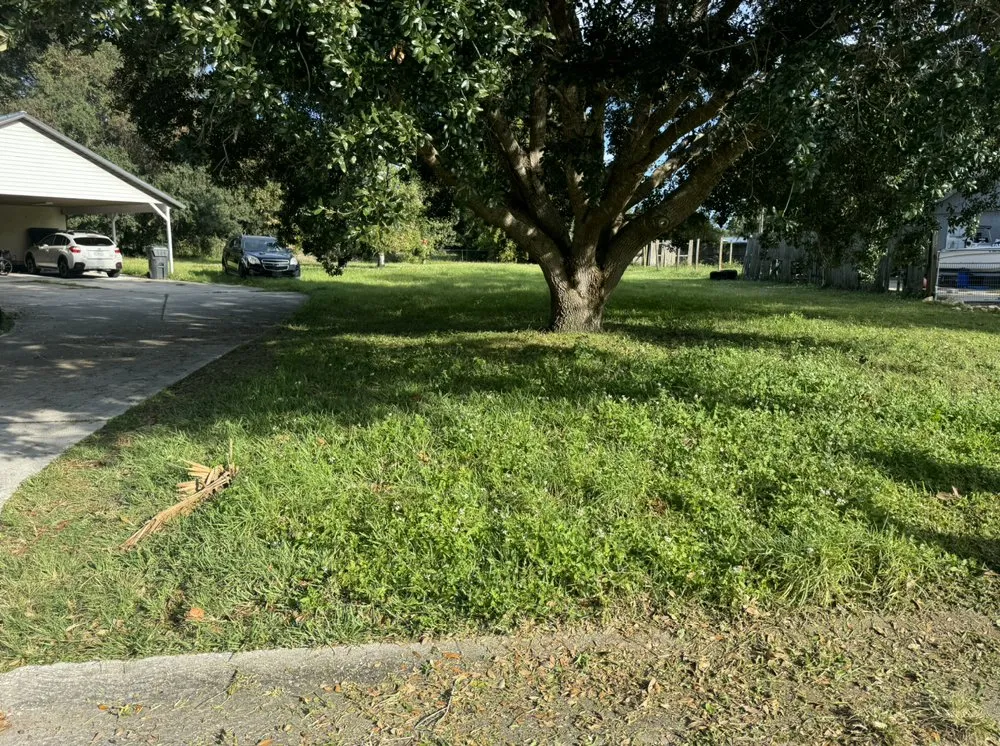 Top-rated outdoor landscaping near you in Titusville, FL by Weitzel Lawn Care & More