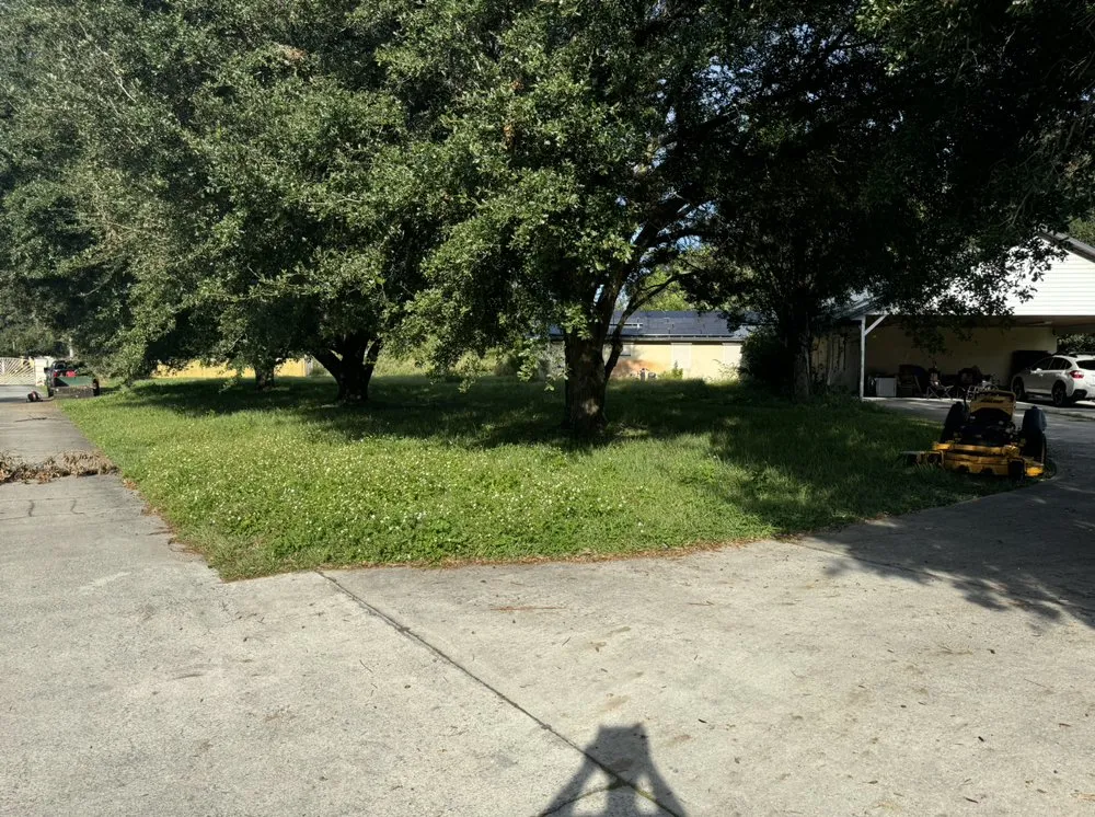 Expert landscape design in Titusville, FL - Weitzel Lawn Care & More