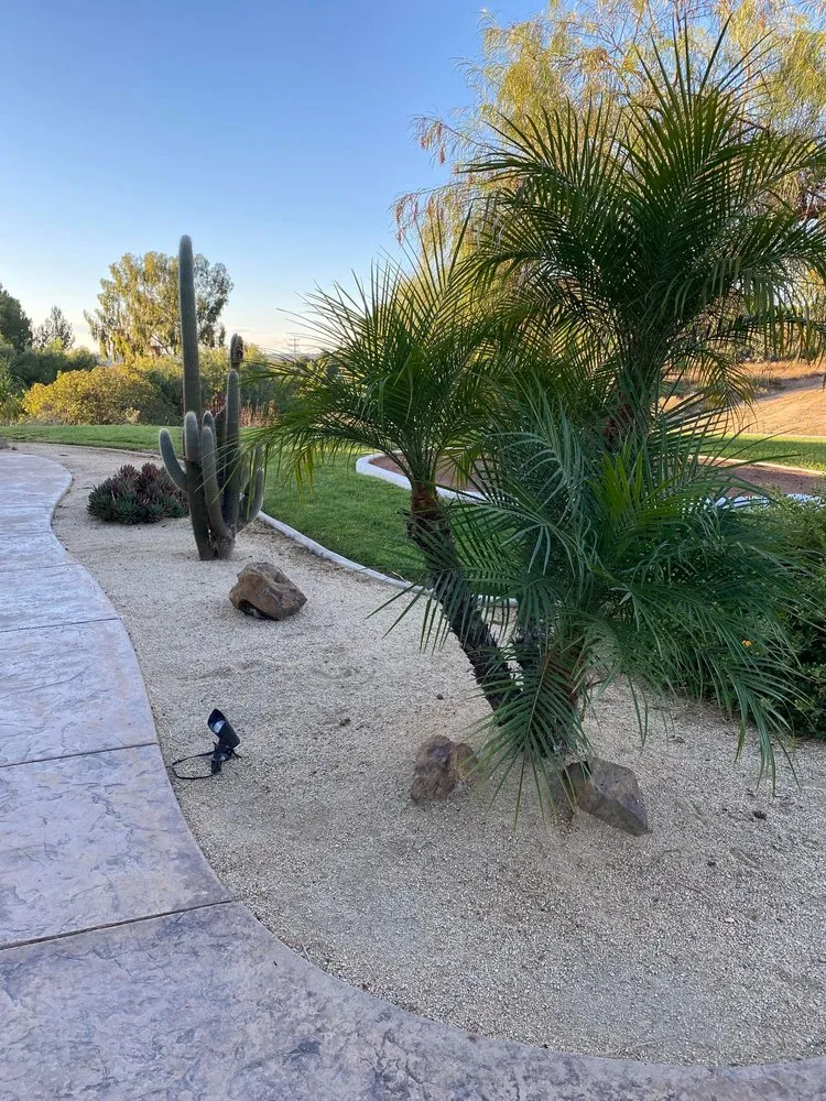 Trusted yard cleanup service in Temecula, CA - WEL Landscaping