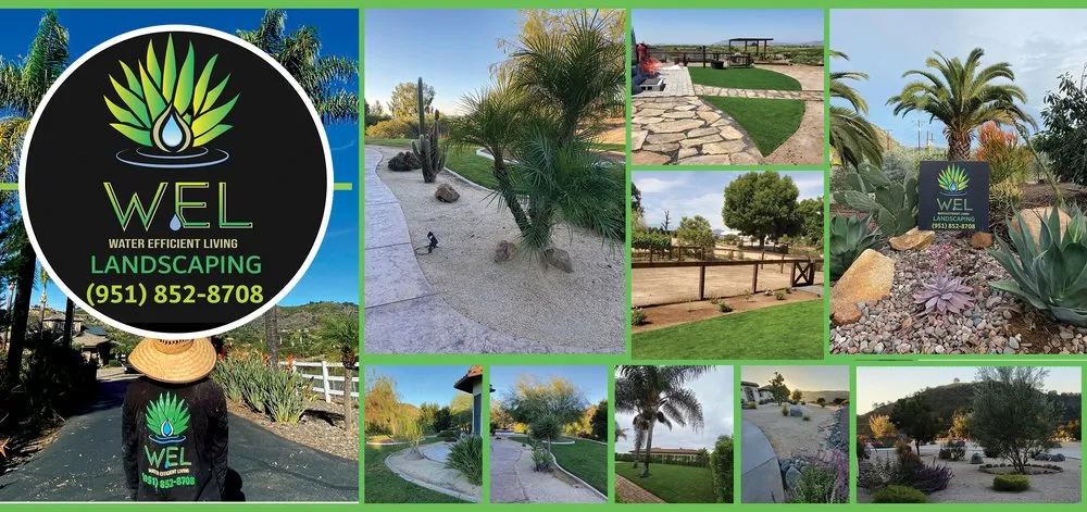 Affordable lawn mowing service near you in Temecula, CA by WEL Landscaping