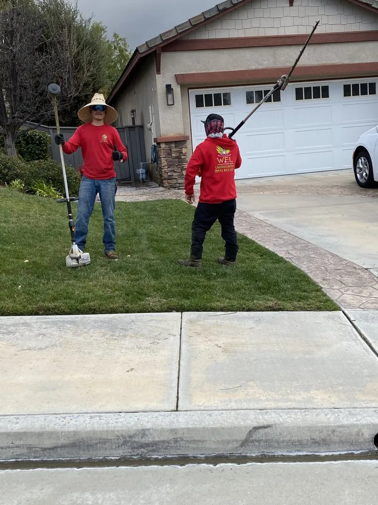 Trusted yard maintenance in Temecula, CA - WEL Landscaping
