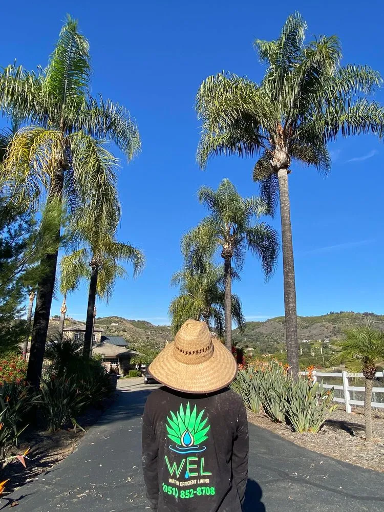 Local landscape installation experts serving Temecula, CA - WEL Landscaping