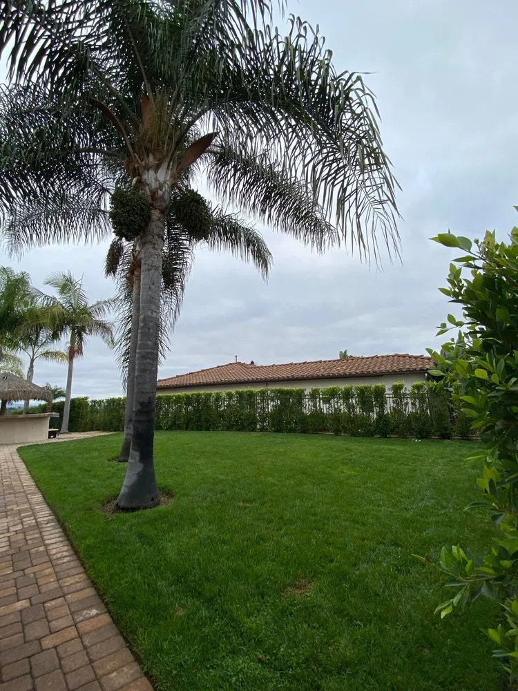 Professional landscape design for outdoor upgrades in Temecula, CA by WEL Landscaping