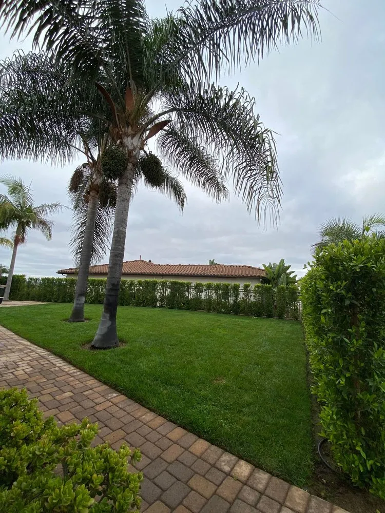 Reliable garden landscaping in Temecula, CA - WEL Landscaping