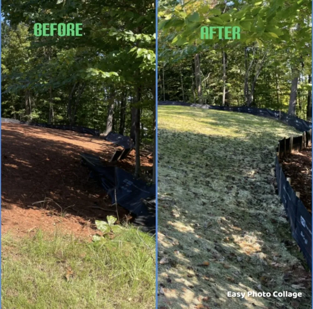 Affordable residential landscaping for outdoor upgrades in Gainesville, GA by Welch Erosion Control