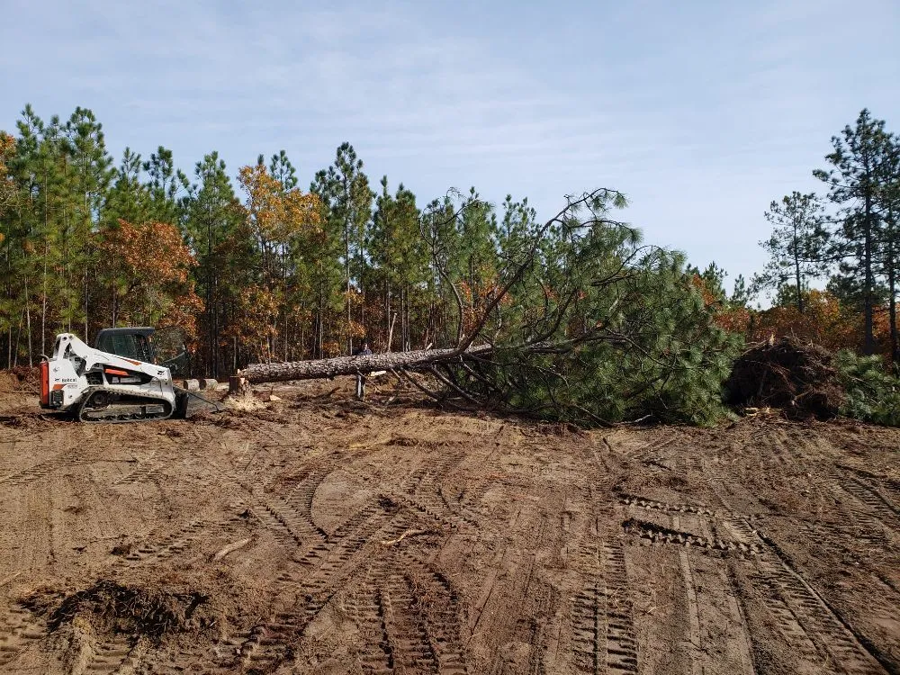 Professional yard maintenance in Charlotte, NC - Welch Landscape Solutions