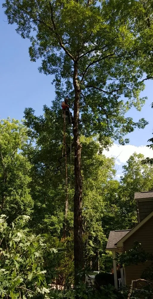 Local yard maintenance in Charlotte, NC by Welch Landscape Solutions