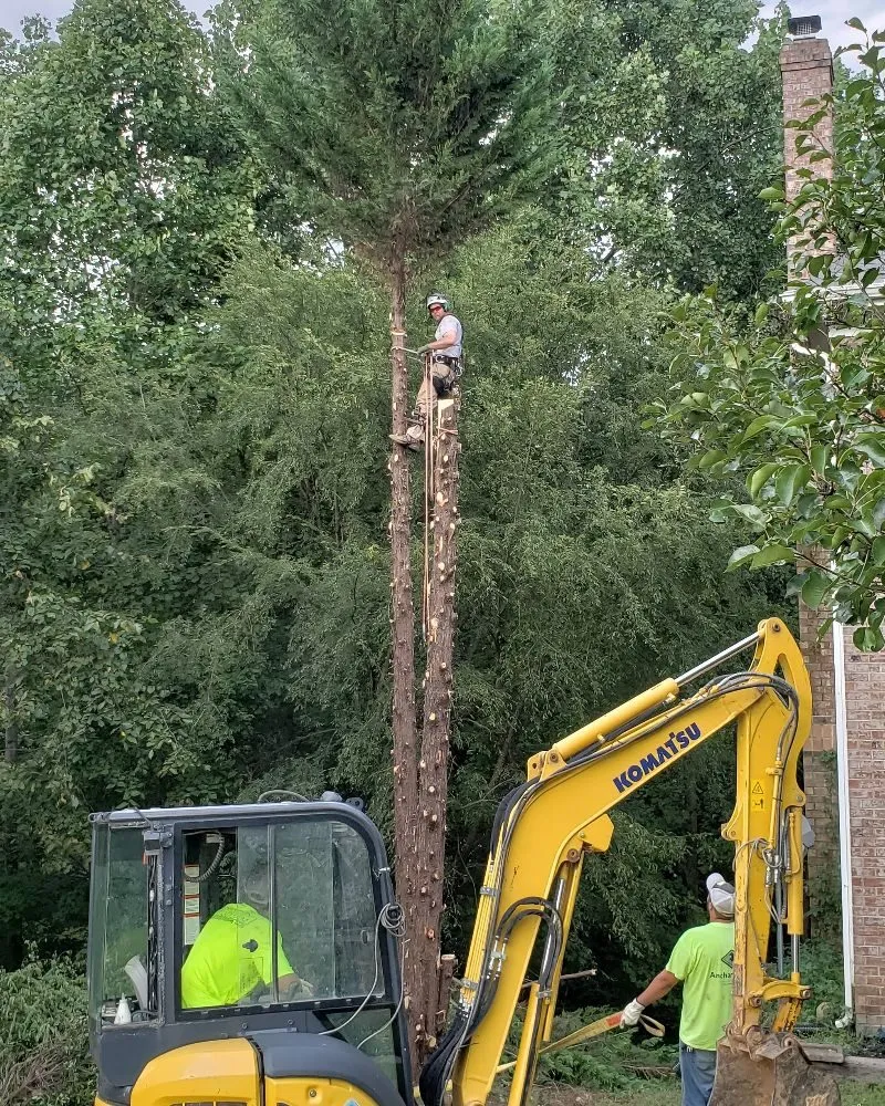 Affordable yard cleanup service for beautiful yards across Charlotte, NC - Welch Landscape Solutions