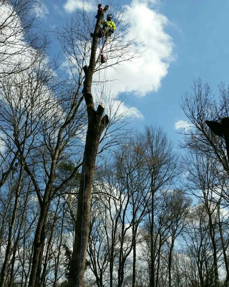 Professional landscape design with custom design across Charlotte, NC - Welch Landscape Solutions