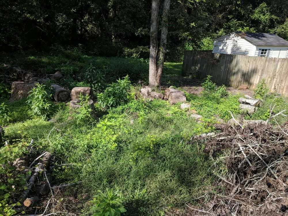 Top-rated residential landscaping near you across Charlotte, NC - Welch Landscape Solutions