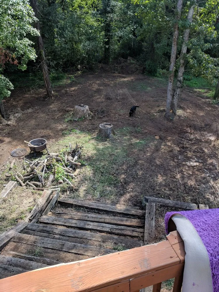 Professional residential landscaping for residential properties across Charlotte, NC - Welch Landscape Solutions