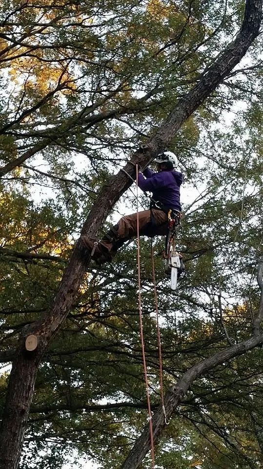 Reliable residential landscaping for residential properties across Charlotte, NC - Welch Landscape Solutions