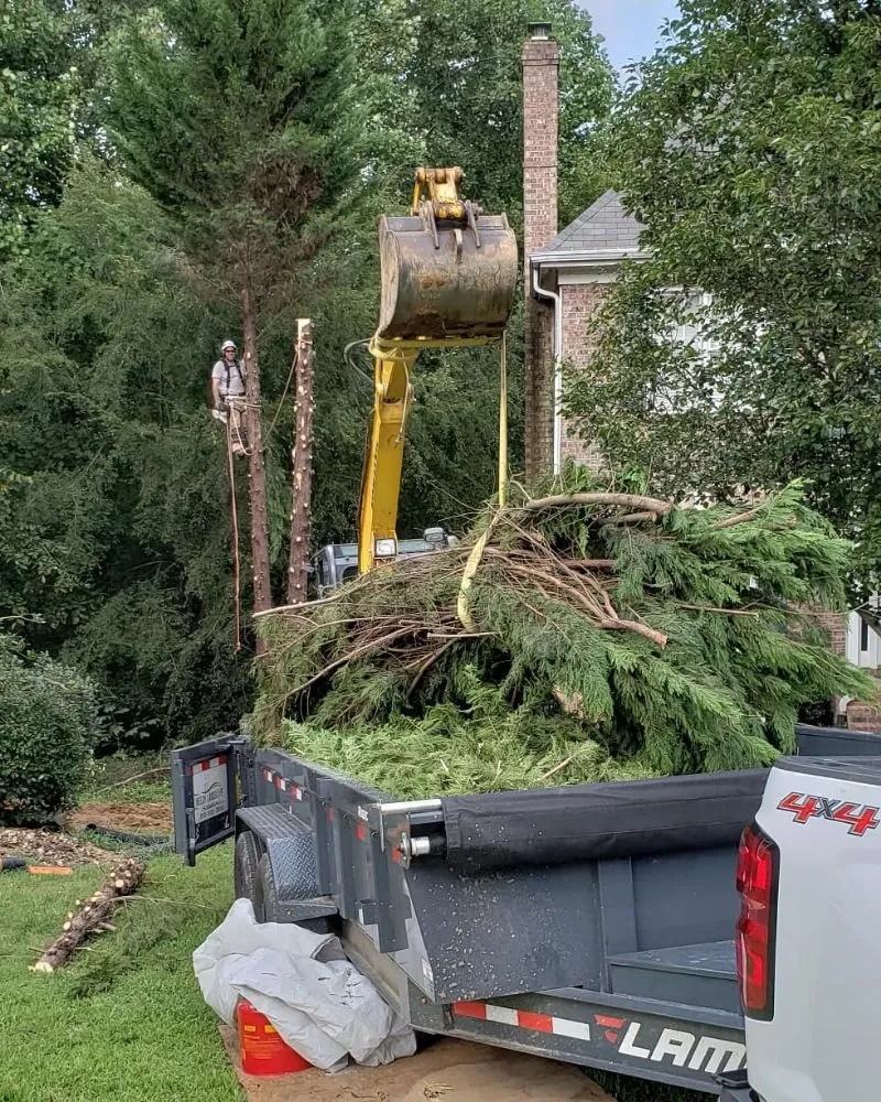 Expert landscape design in Charlotte, NC by Welch Landscape Solutions