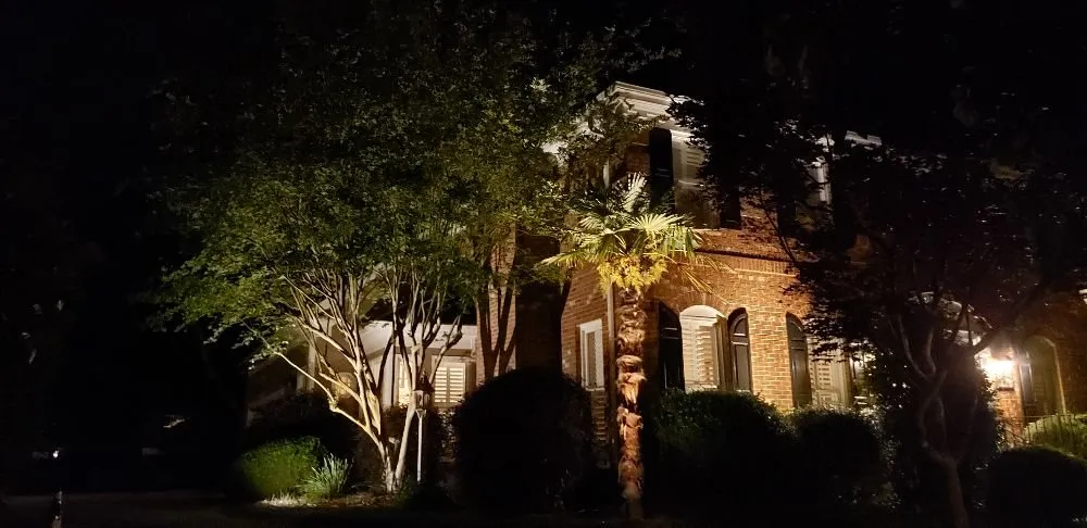 Affordable yard cleanup service for outdoor upgrades in Charlotte, NC by Welch Landscape Solutions