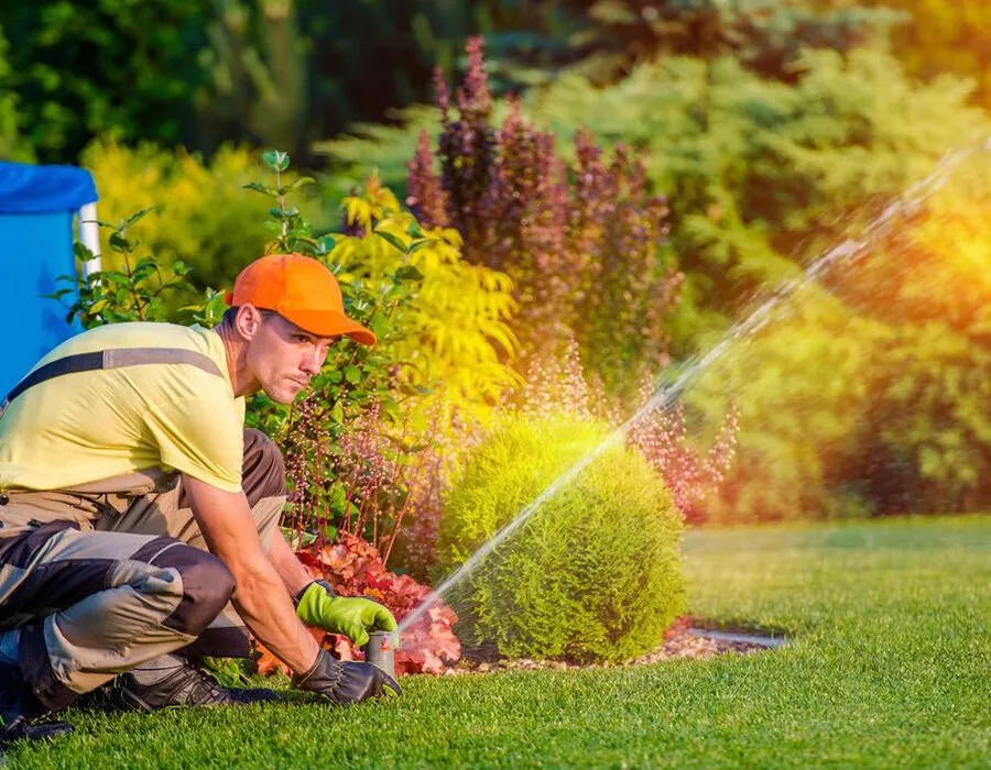 Top-rated landscape installation experts serving Apopka, FL - Welch Lawn Care