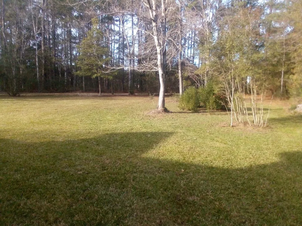 Reliable landscape design for year-round maintenance in Covington, LA by Welch Lawn Services