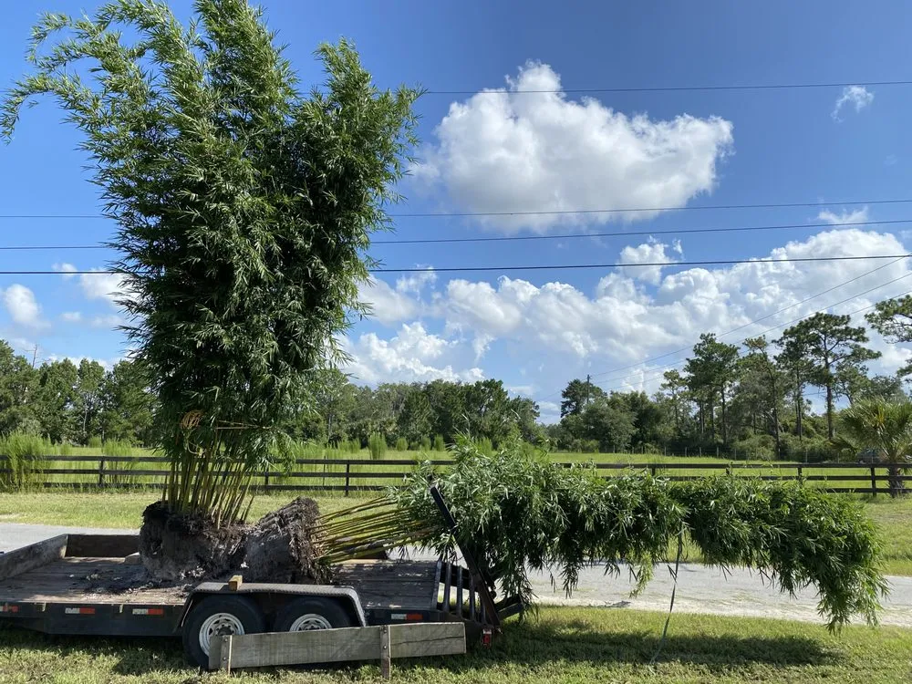 Local lawn care service in Casselberry, FL by Welch Outdoor