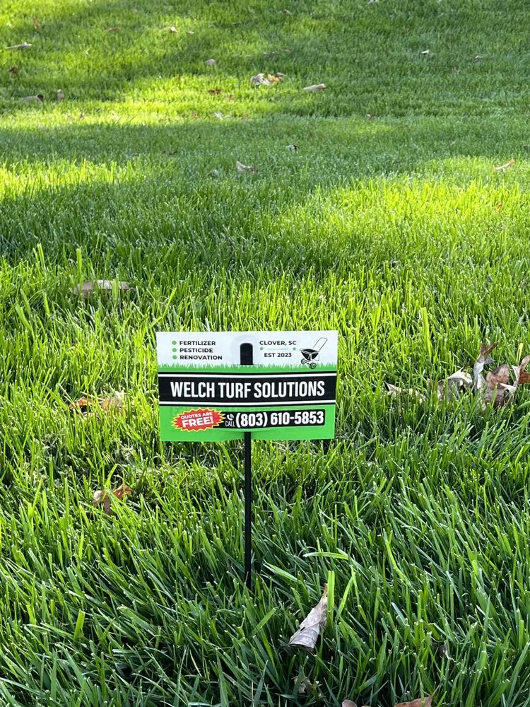 Local landscape installation in Clover, SC by Welch Turf Solutions