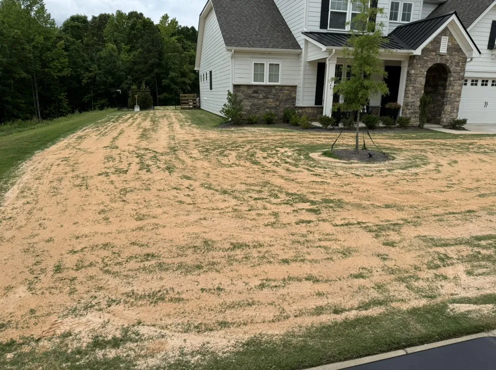 Top-rated yard cleanup service experts serving Clover, SC - Welch Turf Solutions