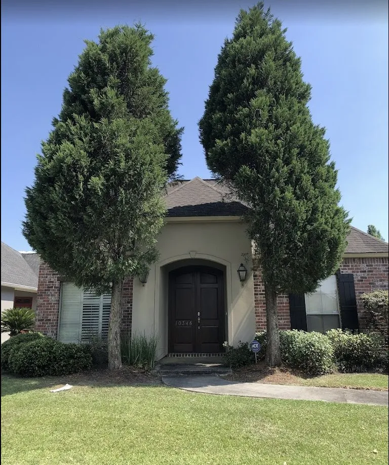 Trusted yard cleanup service in Aubrey, TX by Welcome Home Landscaping & Powerwashing