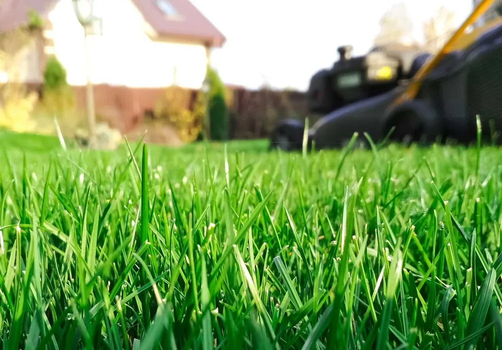Reliable garden landscaping for residential properties across Cranberry Twp, PA - Welcome Home Property Management and Landscaping