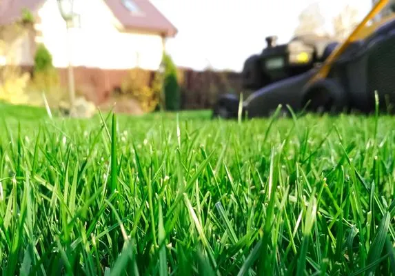 Welcome Home Property Management and Landscaping