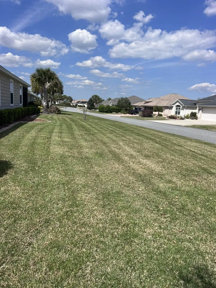 Local yard maintenance experts serving Bronson, FL - Welcome Home Realty & Lawn Care Services