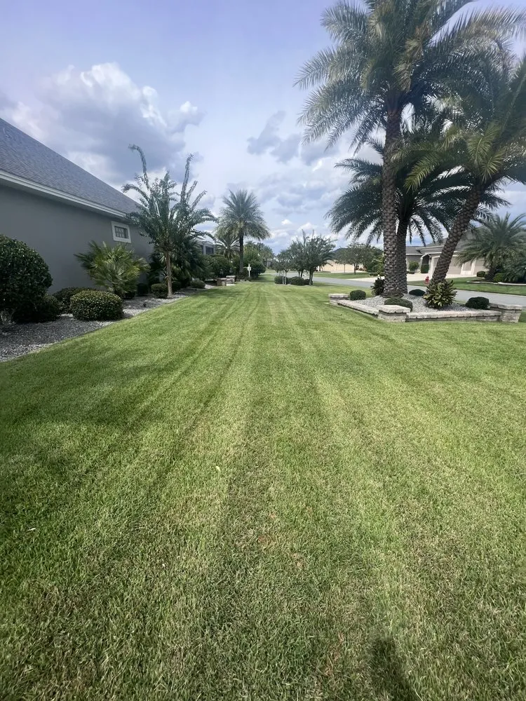 Expert yard maintenance experts serving Bronson, FL - Welcome Home Realty & Lawn Care Services