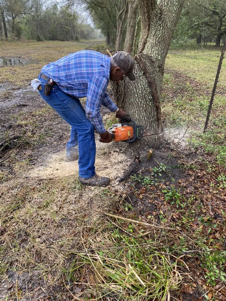 Affordable lawn mowing service in Houston, TX by Weldon Booker Mowing