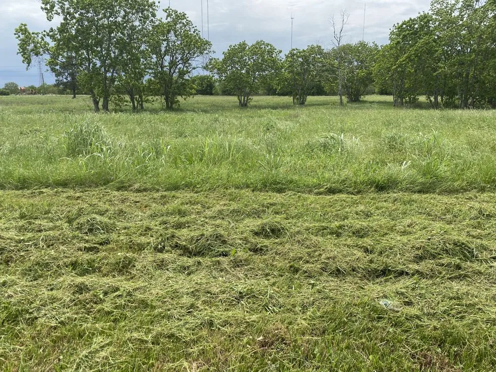 Custom residential landscaping experts serving Houston, TX - Weldon Booker Mowing