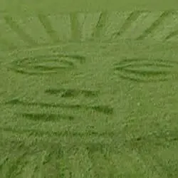 Weldon Lawn Care & Landscaping Logo