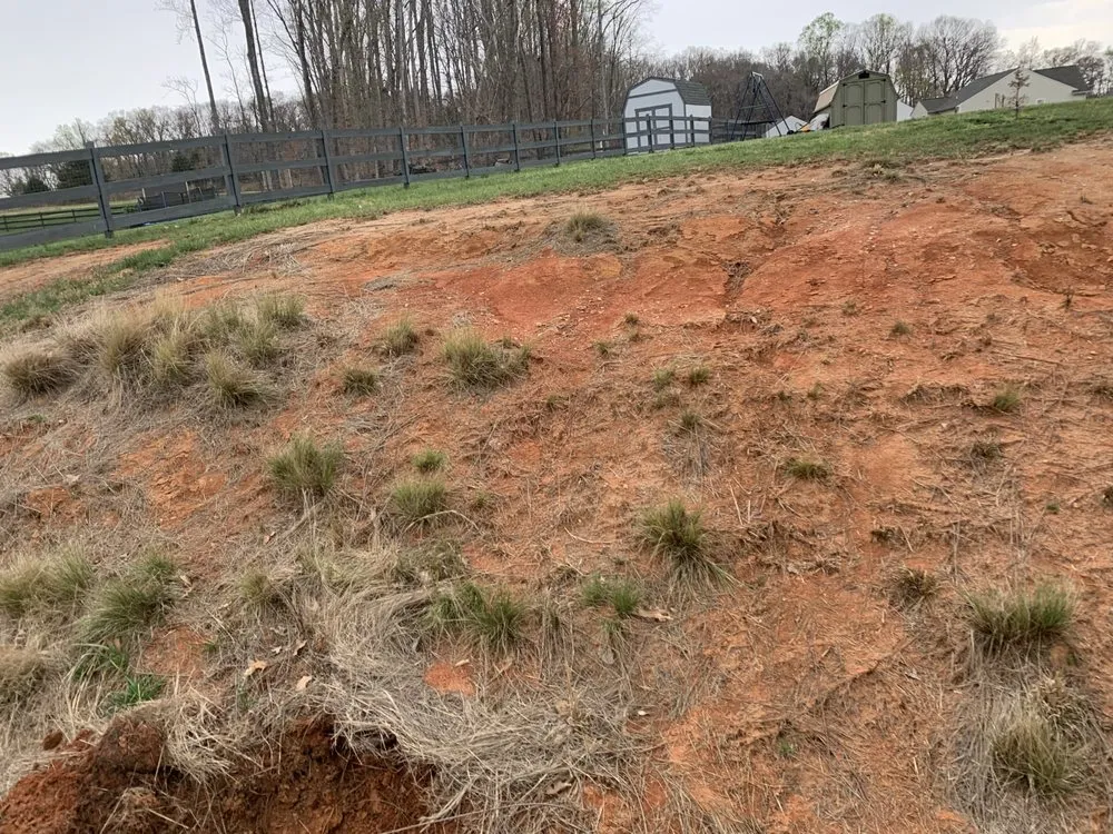 Custom outdoor landscaping in Lexington, NC - Weldon property management