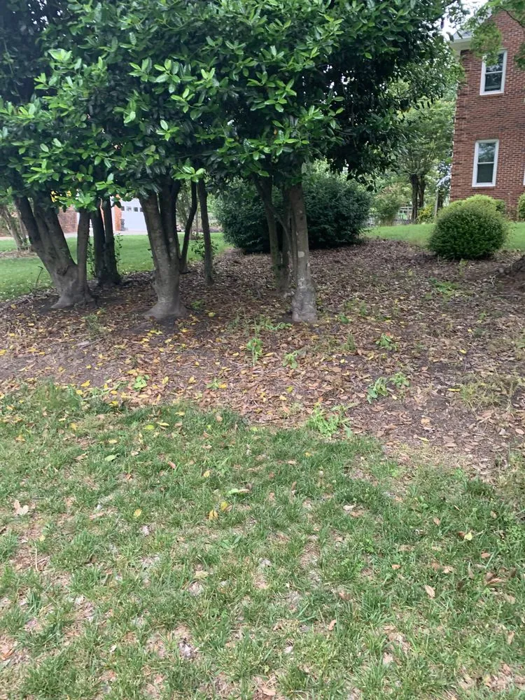 Professional landscape installation in Lexington, NC - Weldon property management