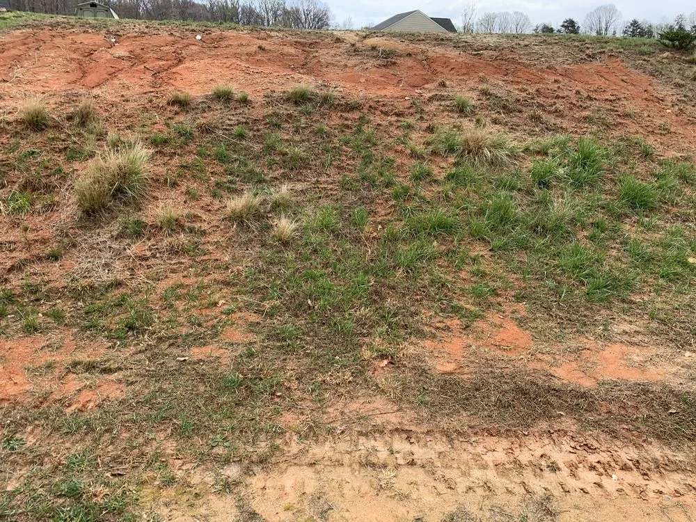 Affordable residential landscaping in Lexington, NC - Weldon property management