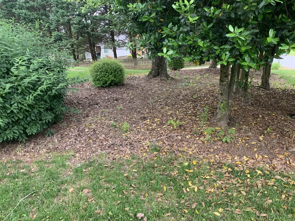 Custom residential landscaping in Lexington, NC by Weldon property management