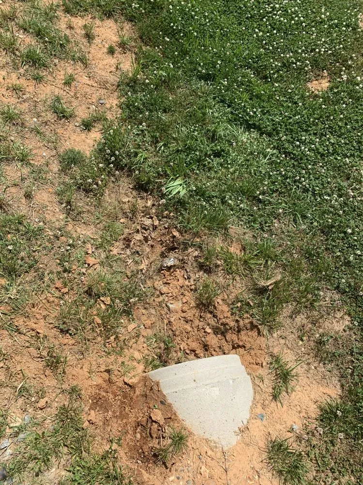 Trusted residential landscaping in Lexington, NC by Weldon property management