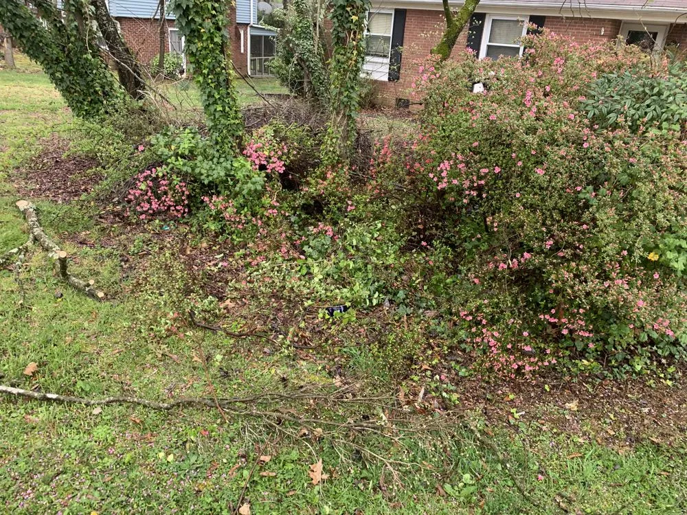 Affordable garden landscaping experts serving Lexington, NC - Weldon Works