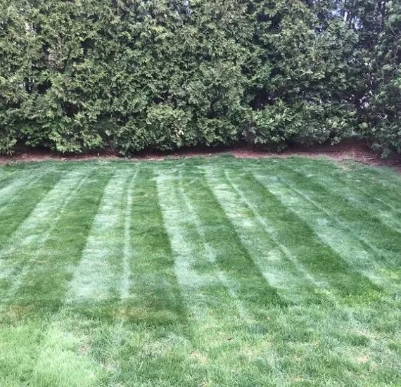 Top-rated landscape installation for beautiful yards across East Longmeadow, MA - Weldons Landscaping