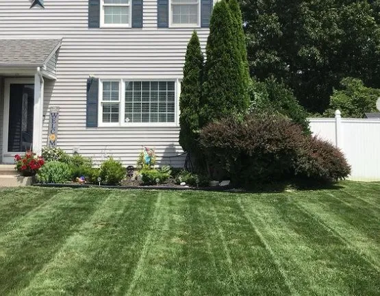 Professional yard maintenance in East Longmeadow, MA - Weldons Landscaping