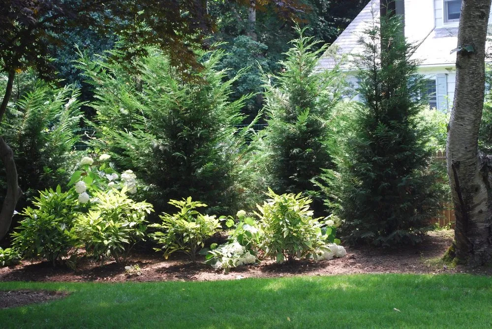 Professional landscaping services for homes across Kenilworth, NJ - Well Done Tree Service